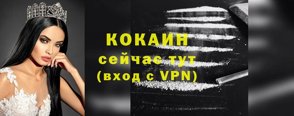 соль ск Нея