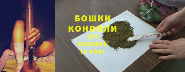 соль ск Нея