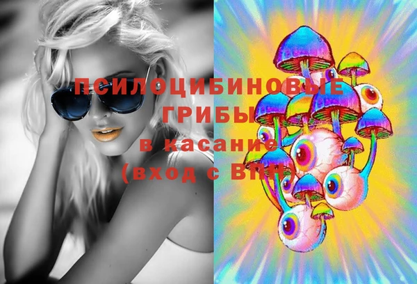 соль ск Нея