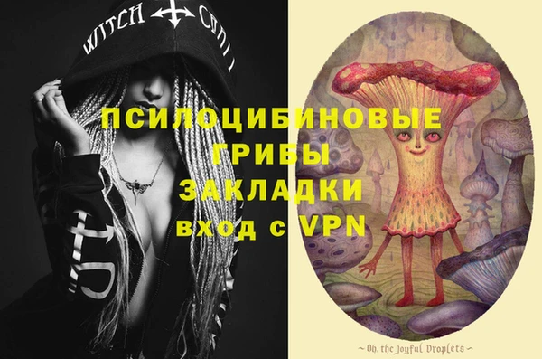 соль ск Нея
