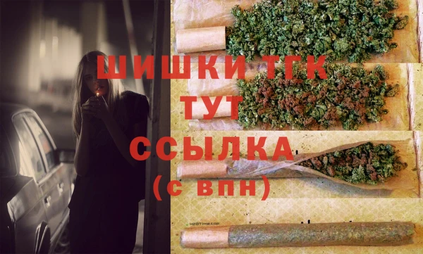 соль ск Нея